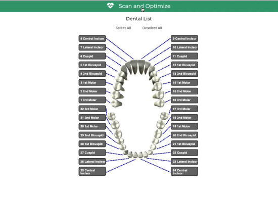 Dental anatomy image